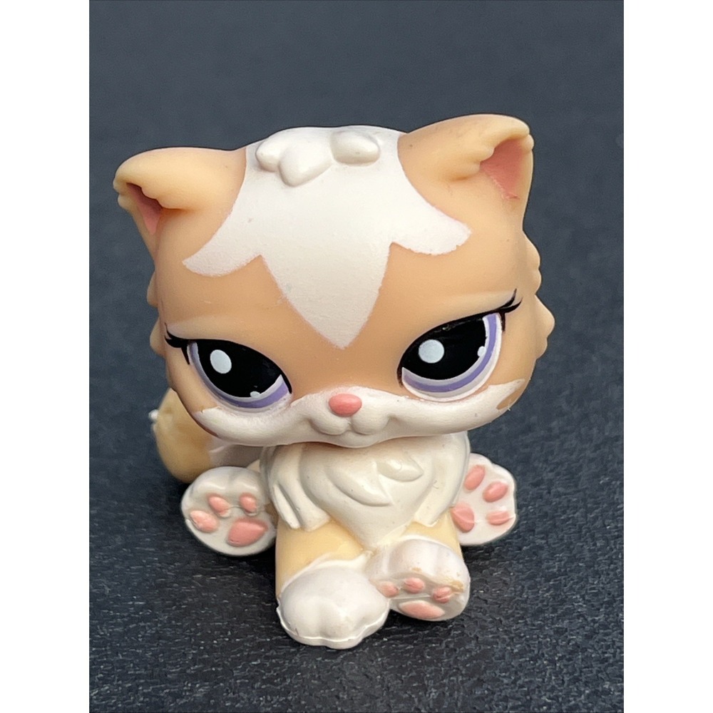 LPS Littlest Pet Shop #1657 Persian Cat Kitty Hasbro Figure – Read